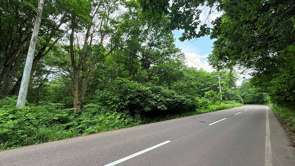 Photo of land for sale in Ikenotaira Myoko